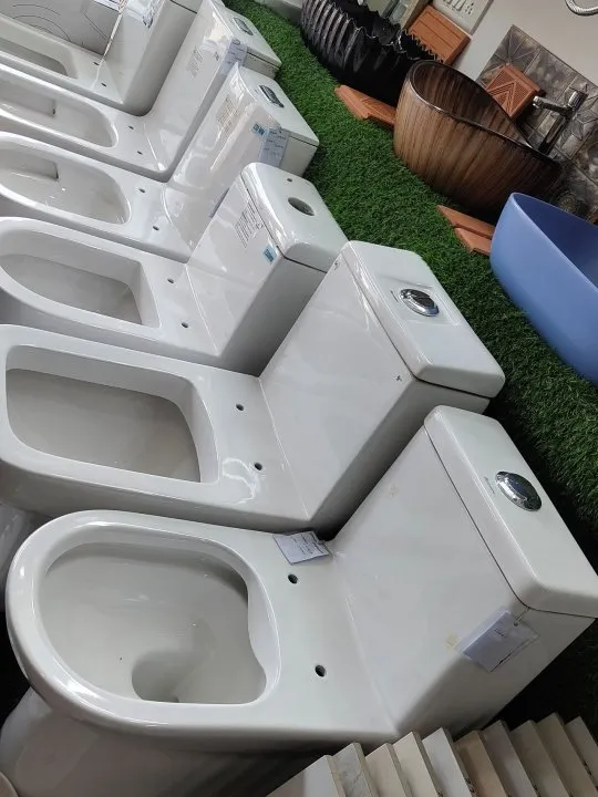 Sanitaryware, toilets and wash basins at Shri Tiles